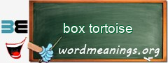 WordMeaning blackboard for box tortoise